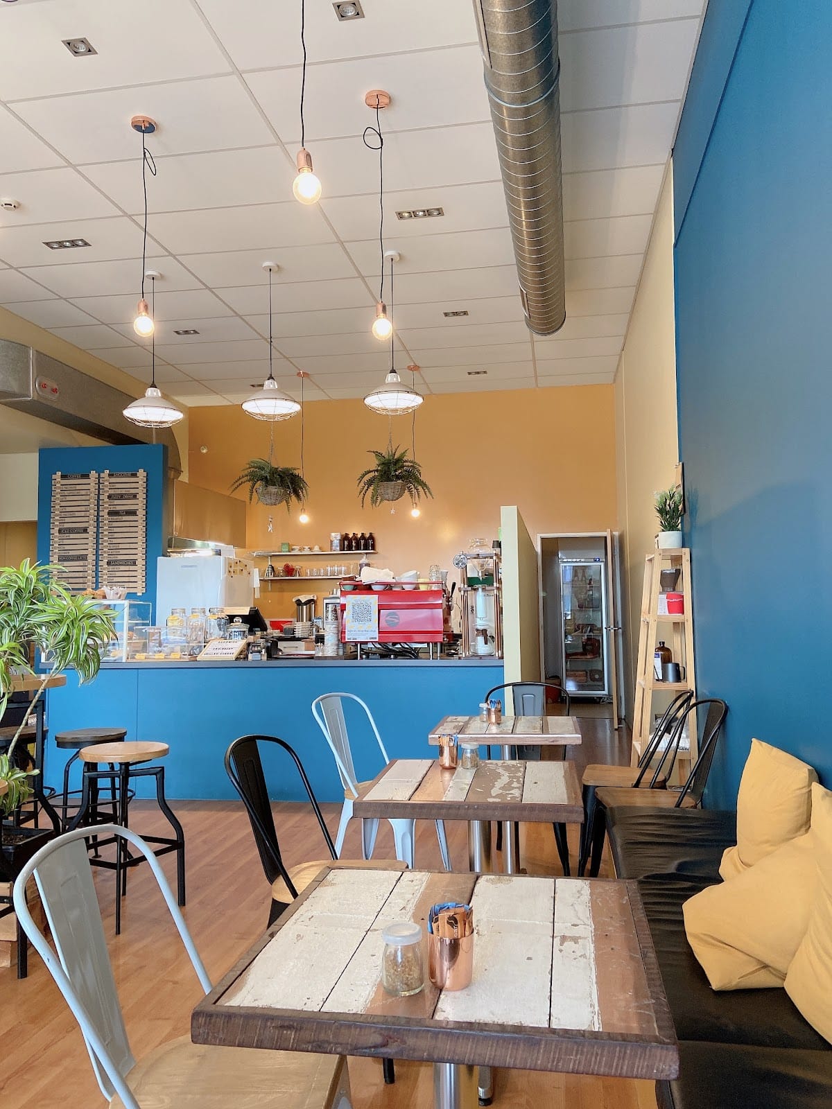 Albatross Coffee seating and blue counter beneath pendant lights.