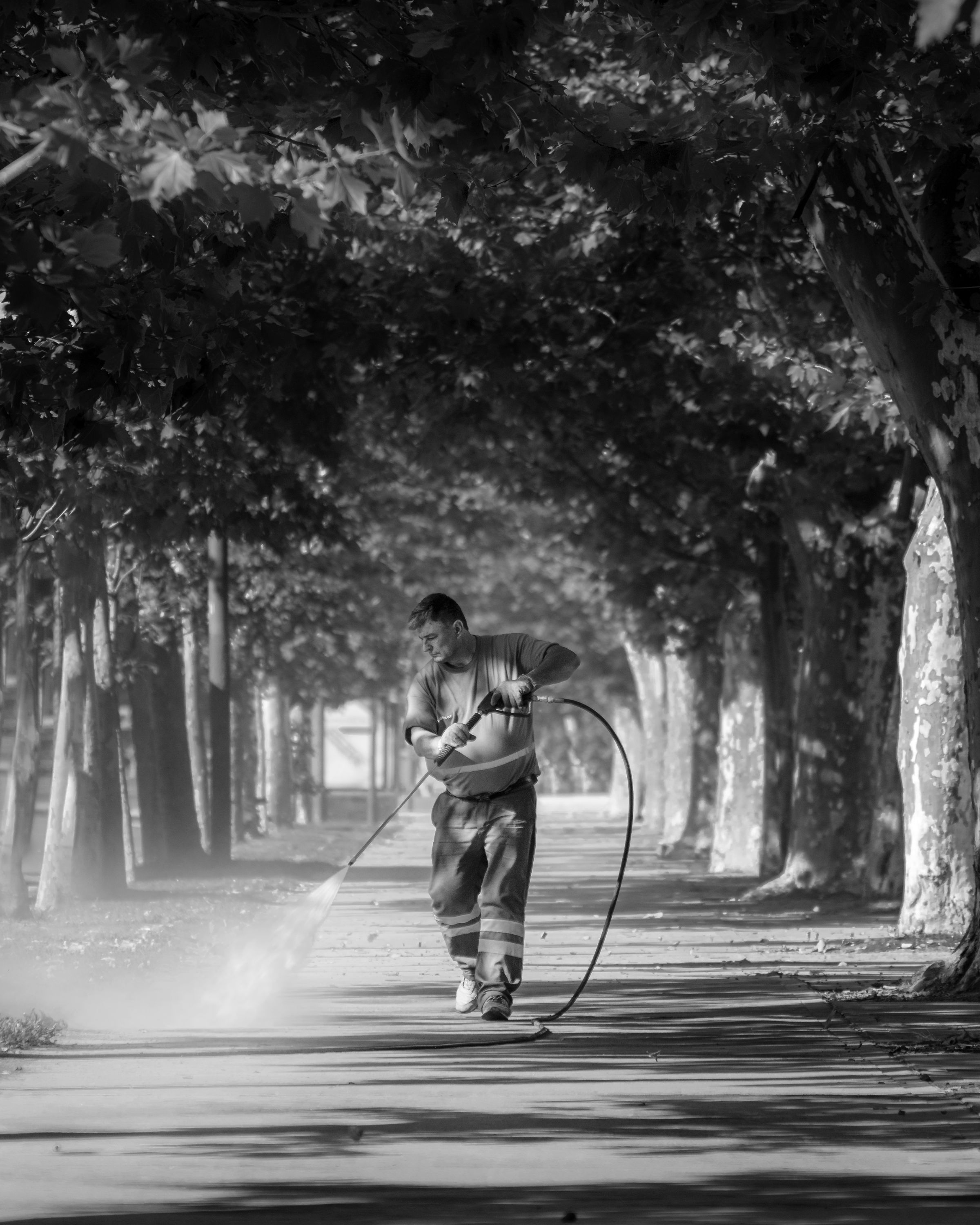 Pressure-washing worker spraying a tree-lined path