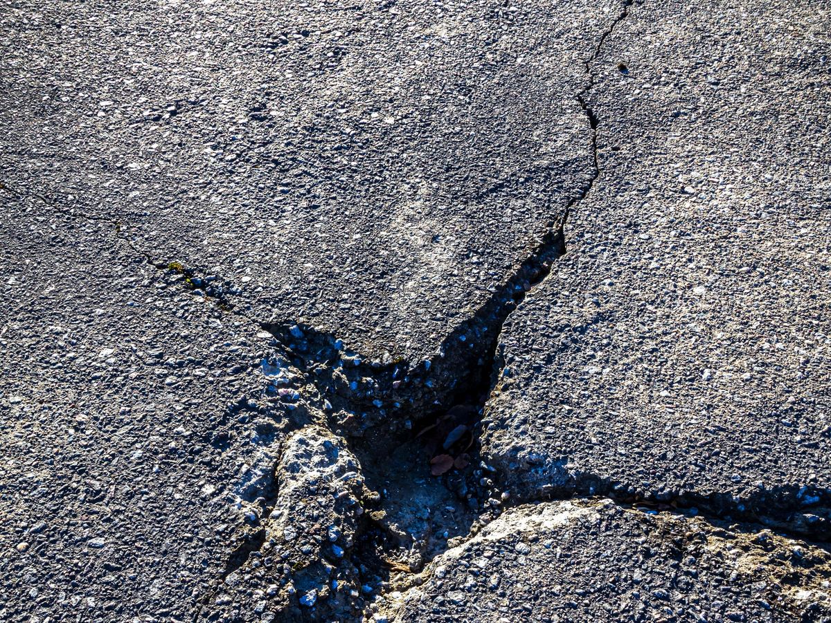 Branching cracks in an asphalt surface