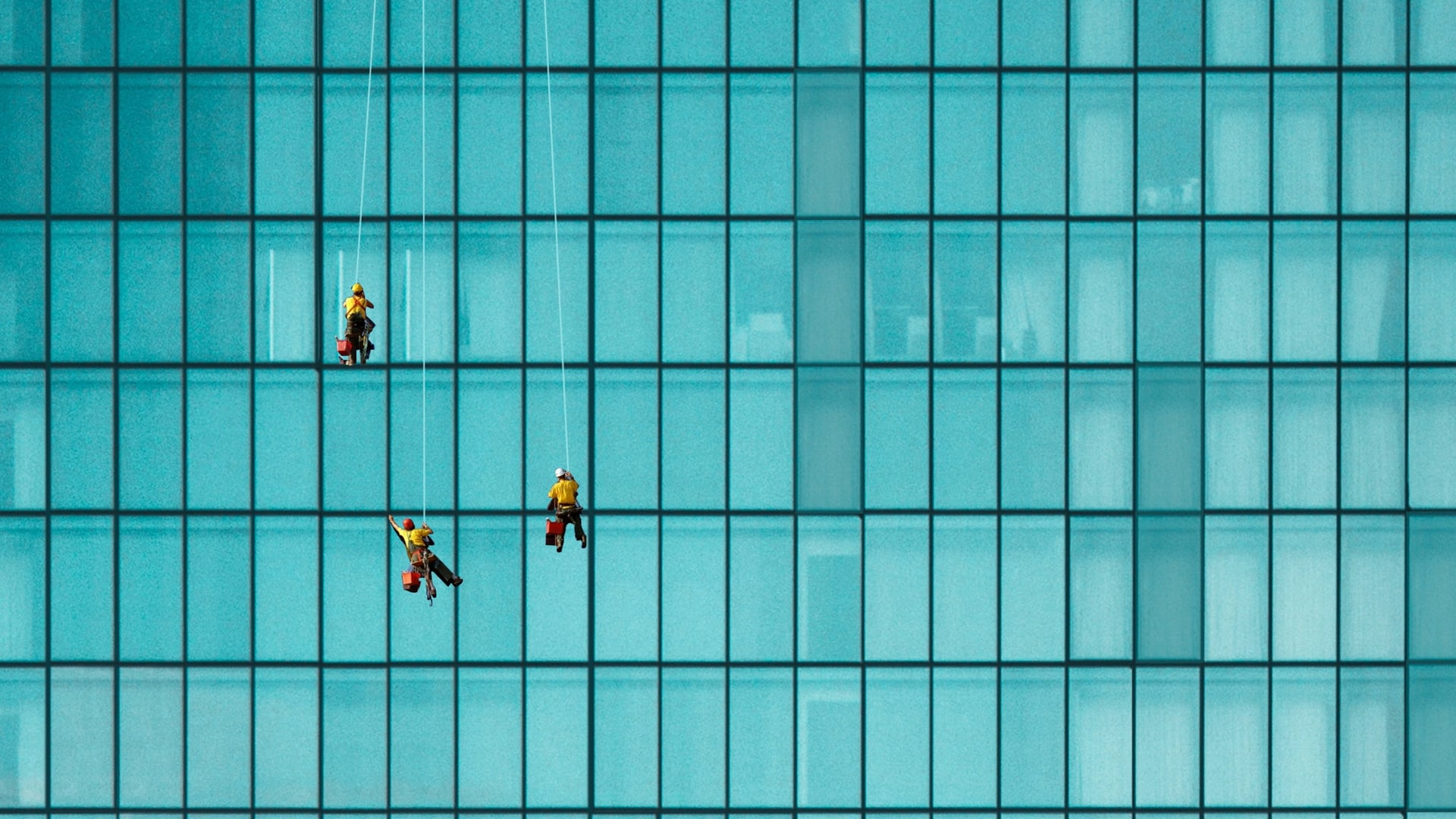 Window cleaners working on a glass building