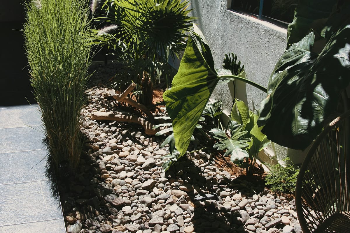 Gravel bed, ornamental grasses and large-leafed planting beside a paved patio