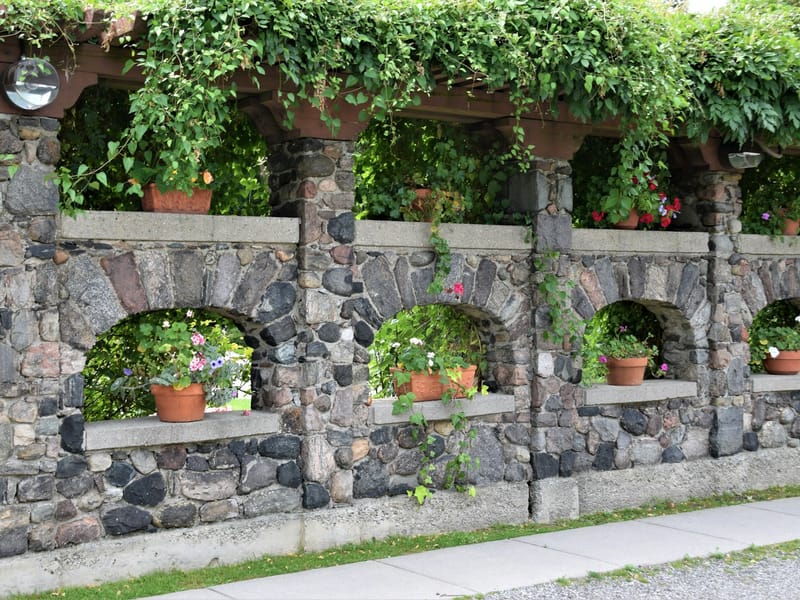 Potted plants and climbing greenery against a stone garden wall