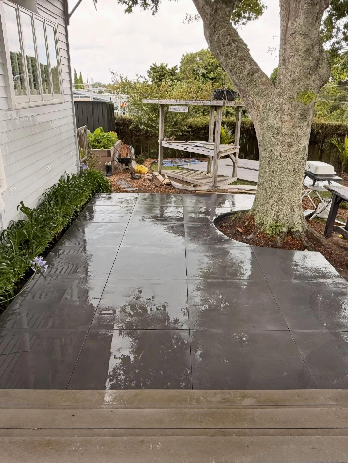Concrete patio around a mature tree alongside a white house