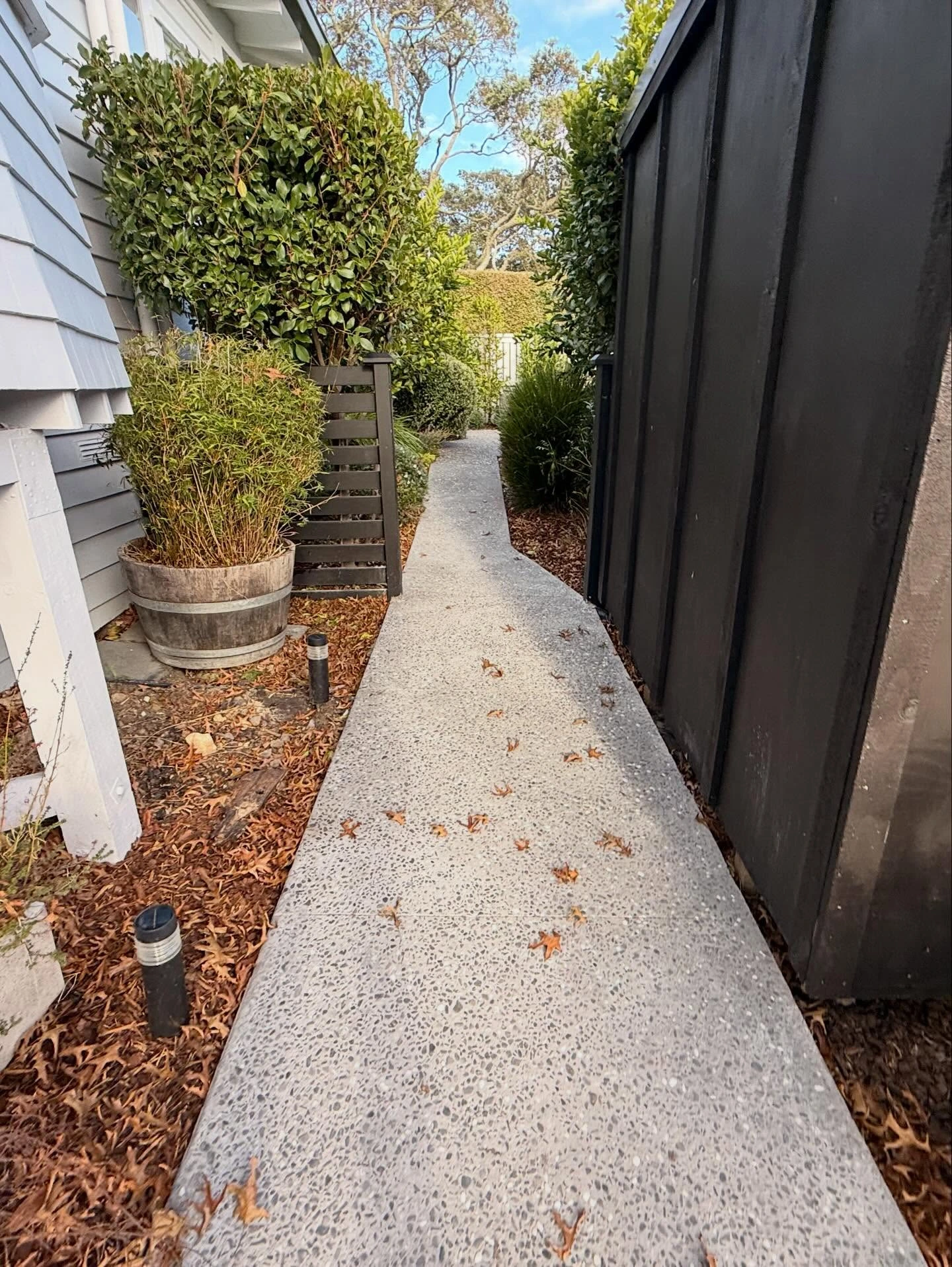 Exposed aggregate path between a white house and a black shed