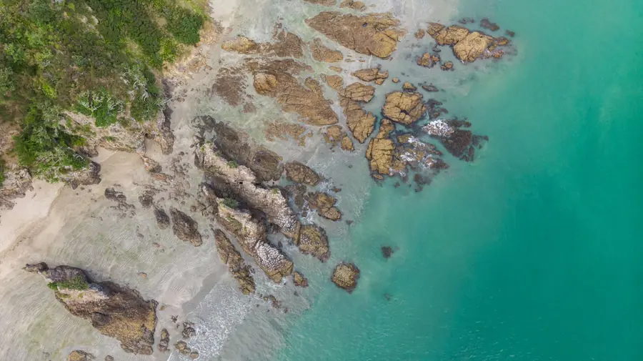Aerial view of rocks, sand and clear turquoise water on a Waiheke shore